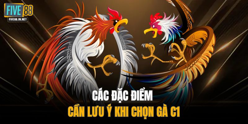 Các đặc điểm cần lưu ý khi chọn gà C1