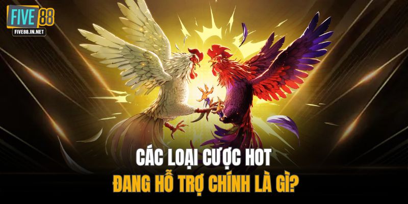 Các loại cược hot đang hỗ trợ chính là gì?