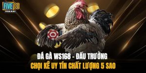 Đá Gà WS168 – Đấu Trường Chọi Kê Uy Tín Chất Lượng 5 Sao