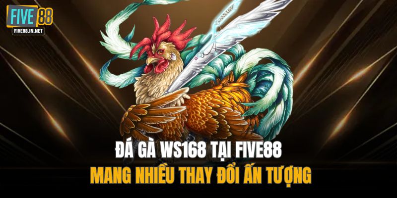 Đá gà WS168 tại FIVE88 mang nhiều thay đổi ấn tượng