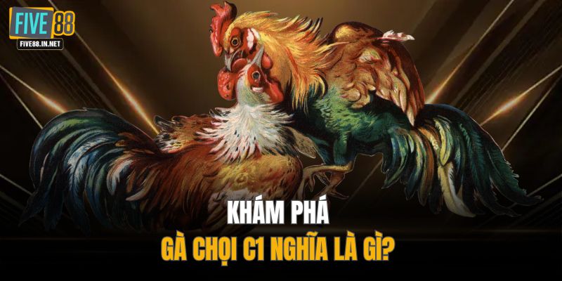 Khám phá gà chọi C1 nghĩa là gì?
