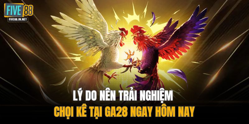 Lý do nên trải nghiệm chọi kê tại GA28 ngay hôm nay